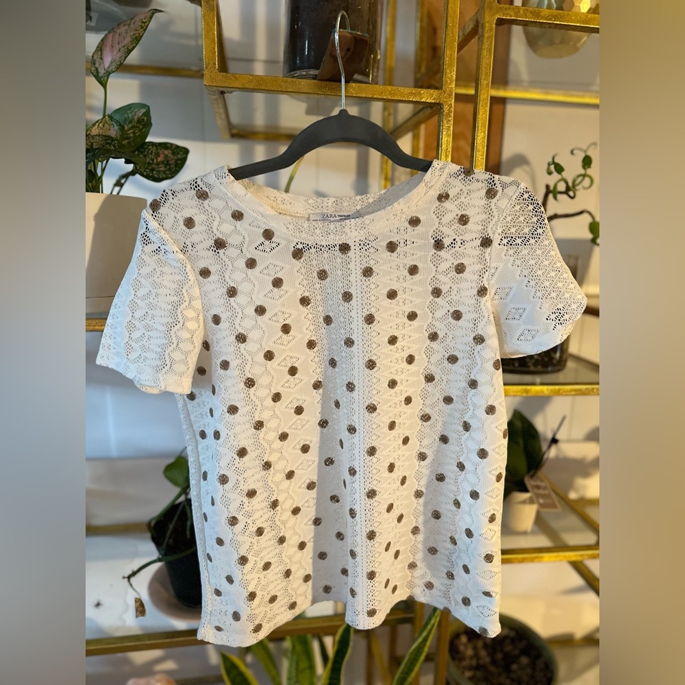 Transparent Zara Tee M
